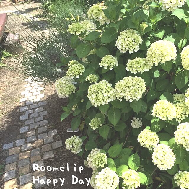 samanthakitchenさんの実例写真