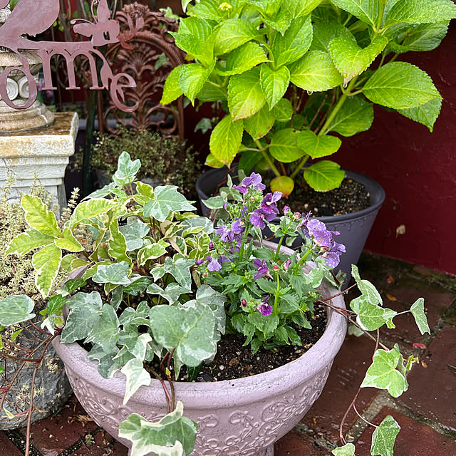 AYUKOさんの実例写真