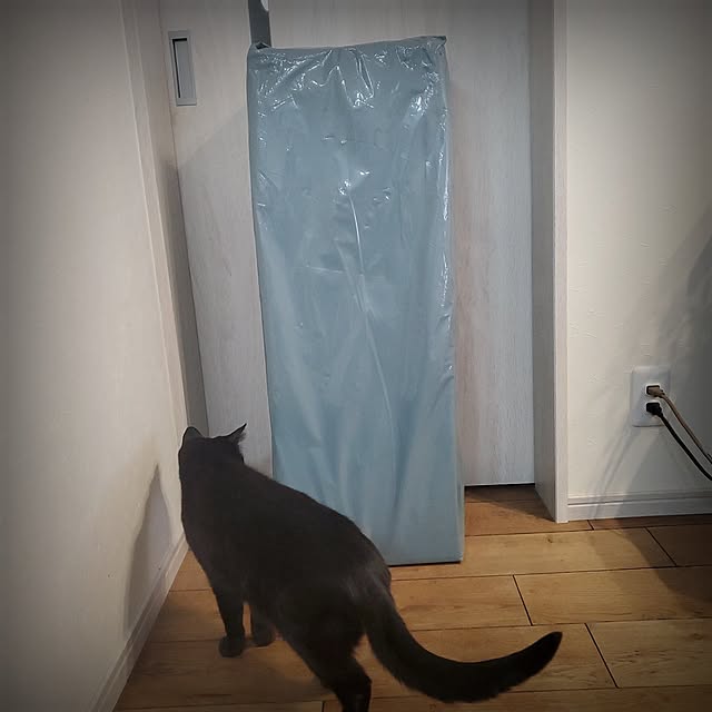 ramuramuさんの実例写真