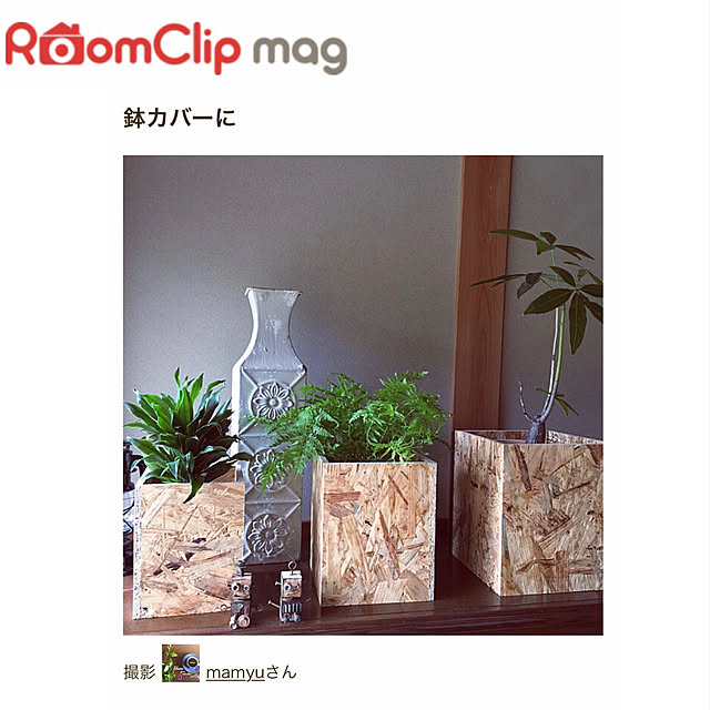 mamyuさんの実例写真