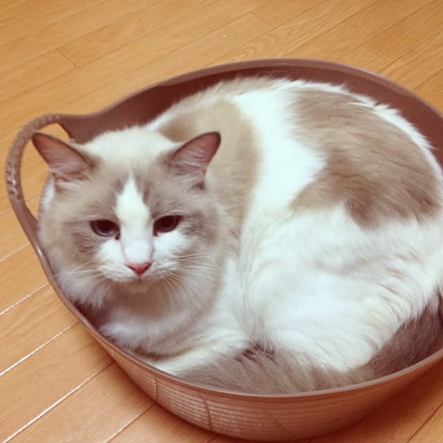 runtenさんの実例写真