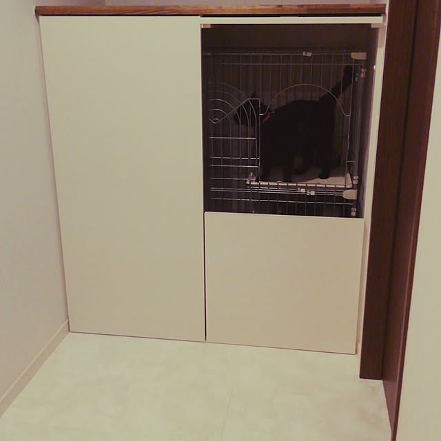 zenoさんの実例写真