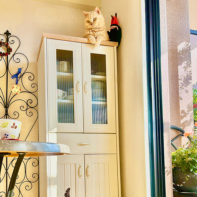 naokoさんの部屋