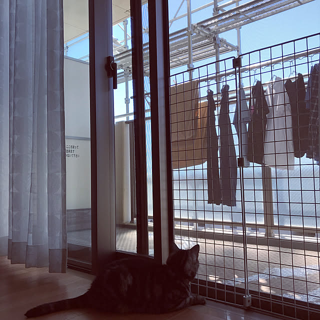 hiyupan88さんの実例写真