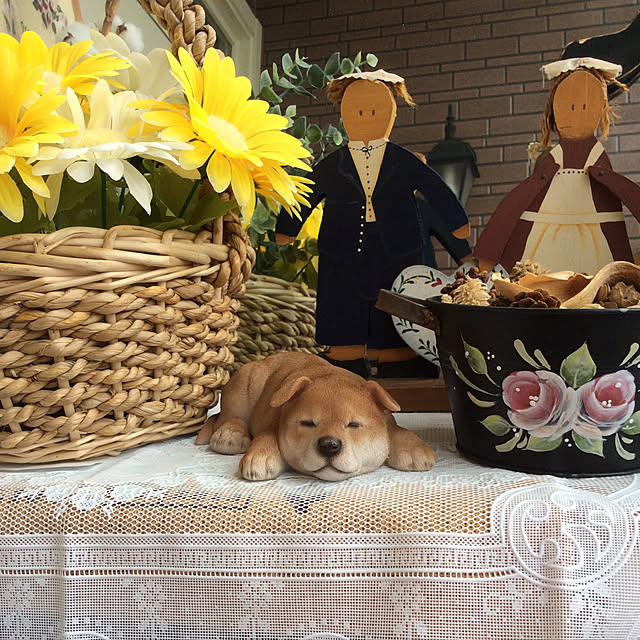 meguさんの実例写真