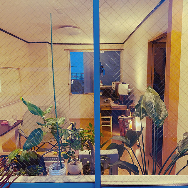 tsucchie60jさんの部屋