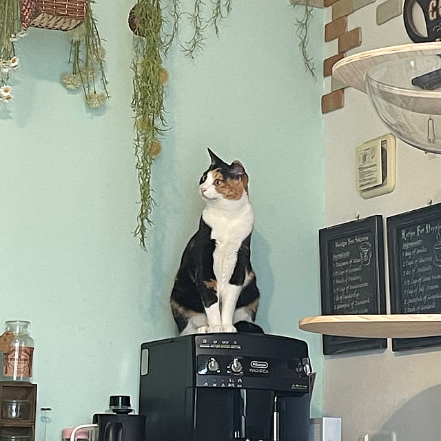 HARUさんの実例写真