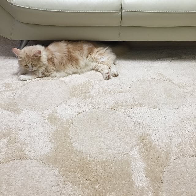 favorlyさんの実例写真