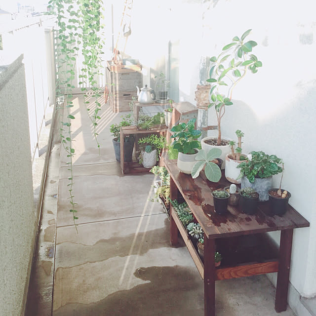 cata_coto_さんの実例写真
