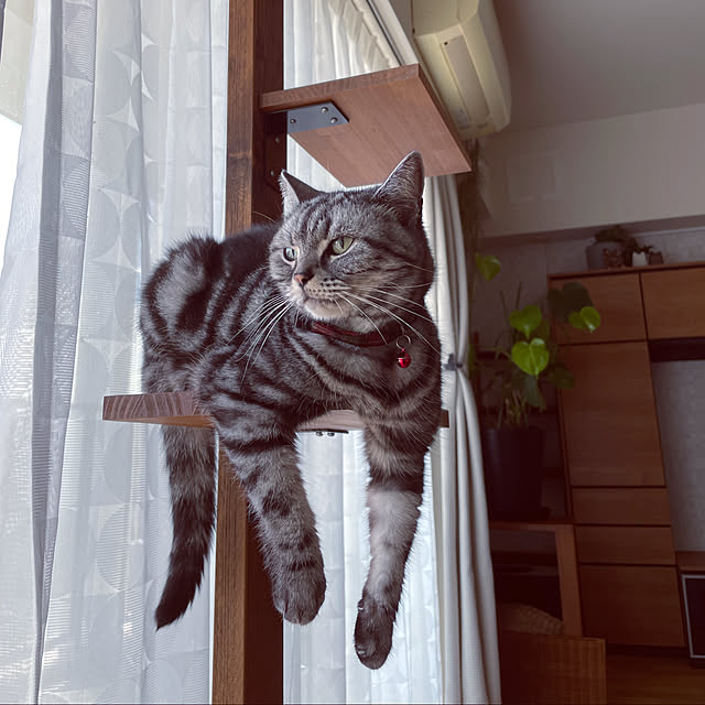 hiyupan88さんの実例写真