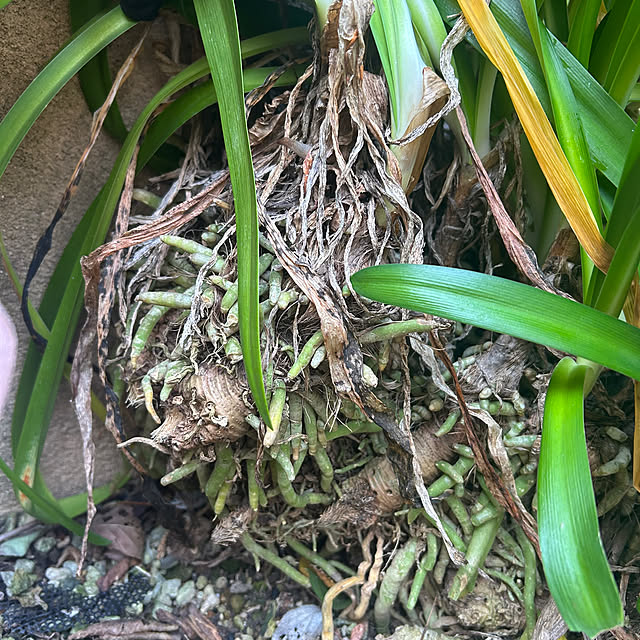 fumikoiさんの部屋