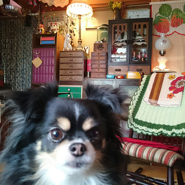 cha-baさんの実例写真
