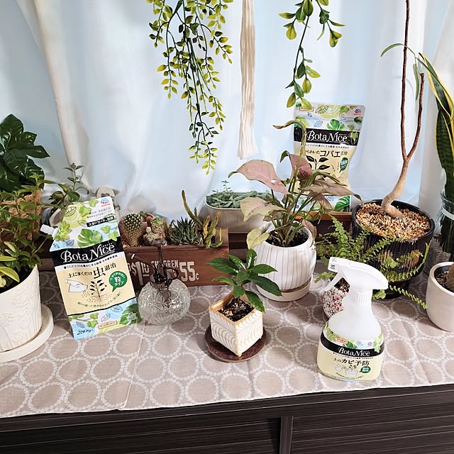 coconathuさんの部屋