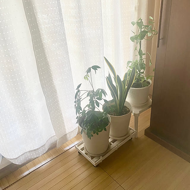 YuuKoさんの実例写真
