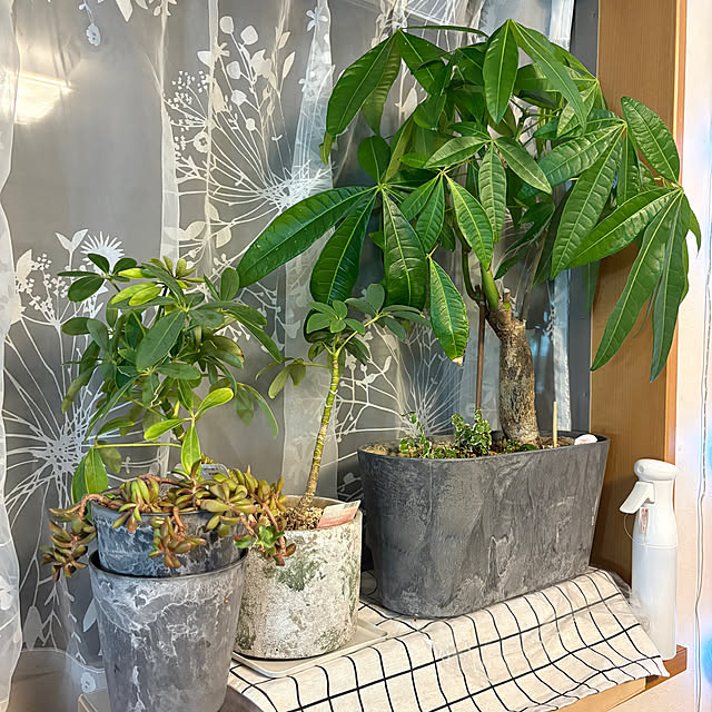 mtさんの部屋