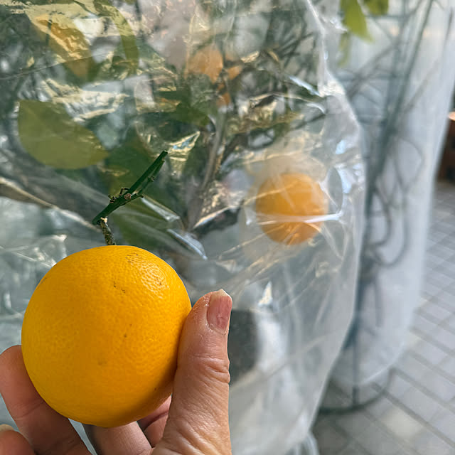 Aqettyさんの部屋