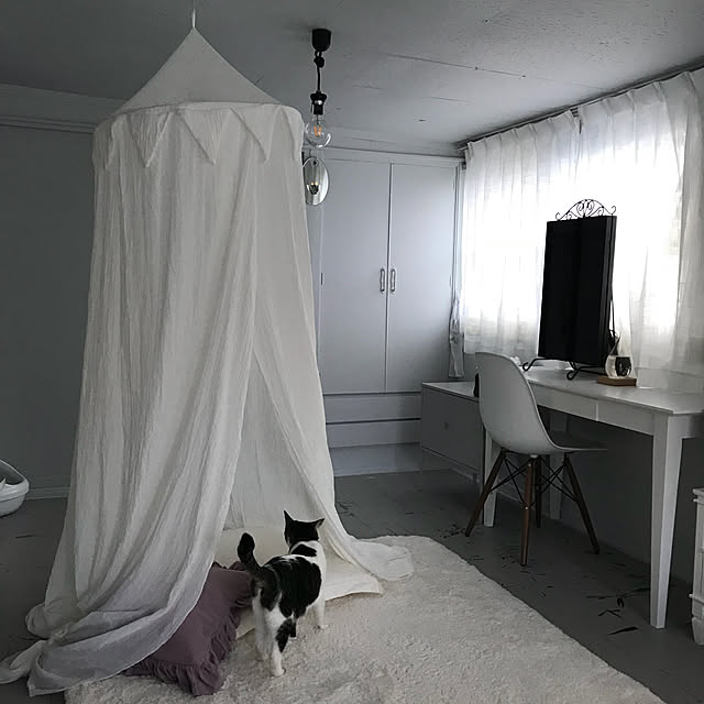 Shihoさんの実例写真