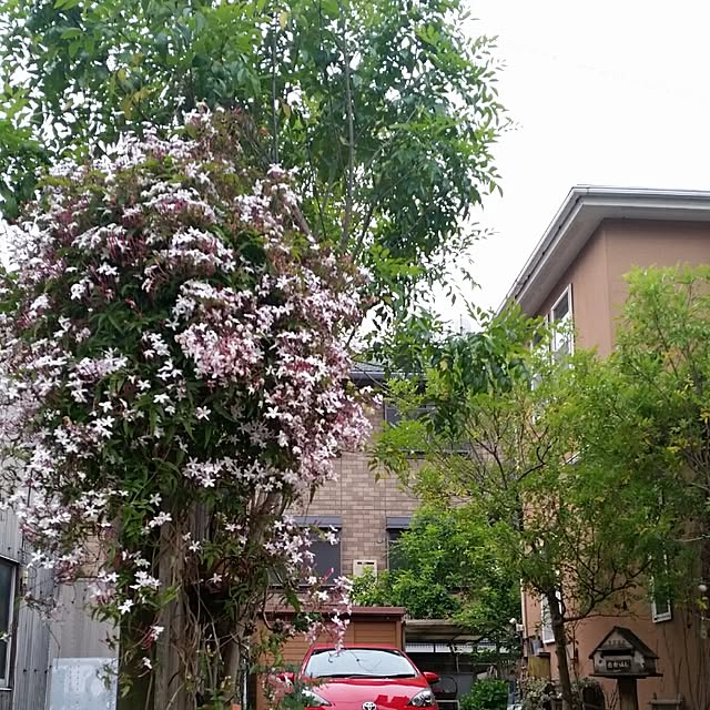 44039ponさんの実例写真