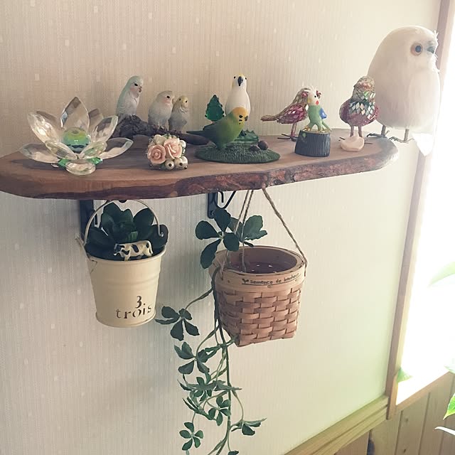pu-toraさんの実例写真
