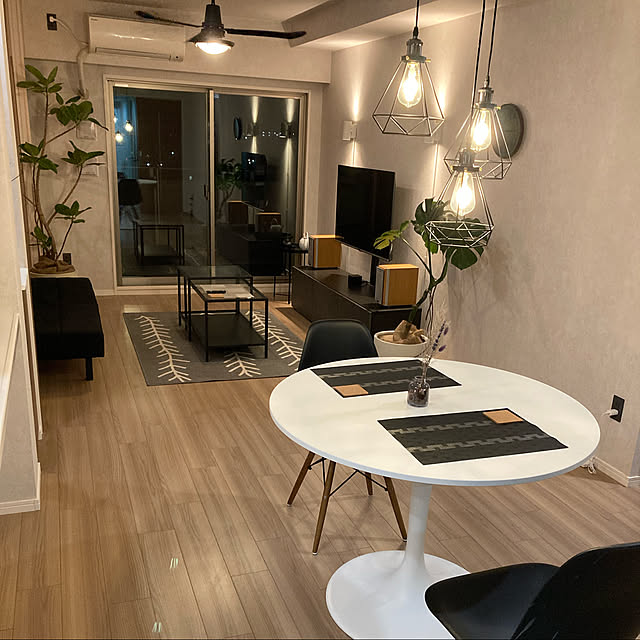 観葉植物/照明/IKEA/部屋全体のインテリア実例 - 2022-05-19 21:11:15