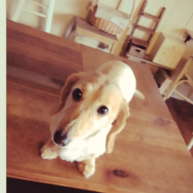 Koumeさんの実例写真