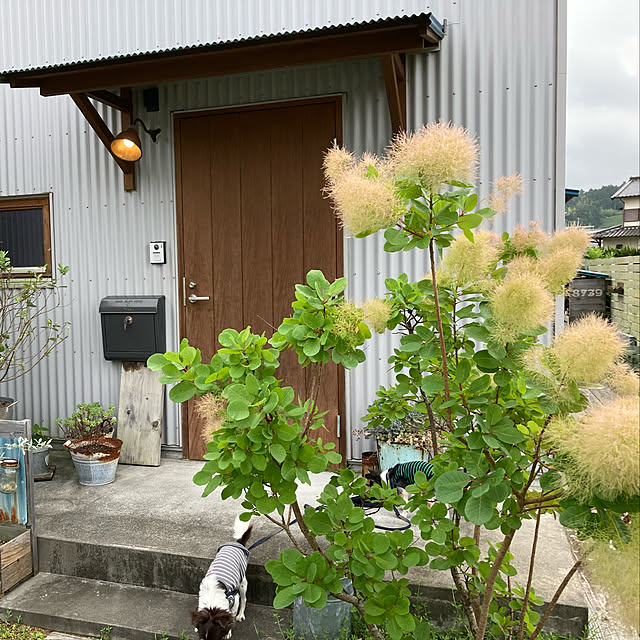 mkk8739hanasakuさんの実例写真