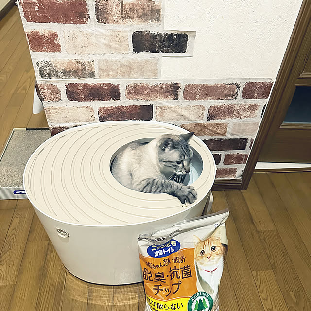 mieさんの部屋