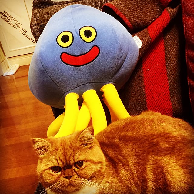 anmituさんの実例写真