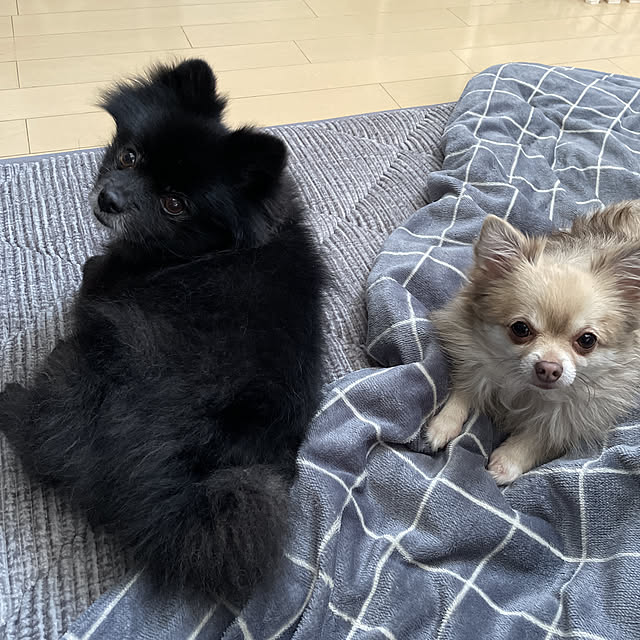 BbBbさんの実例写真