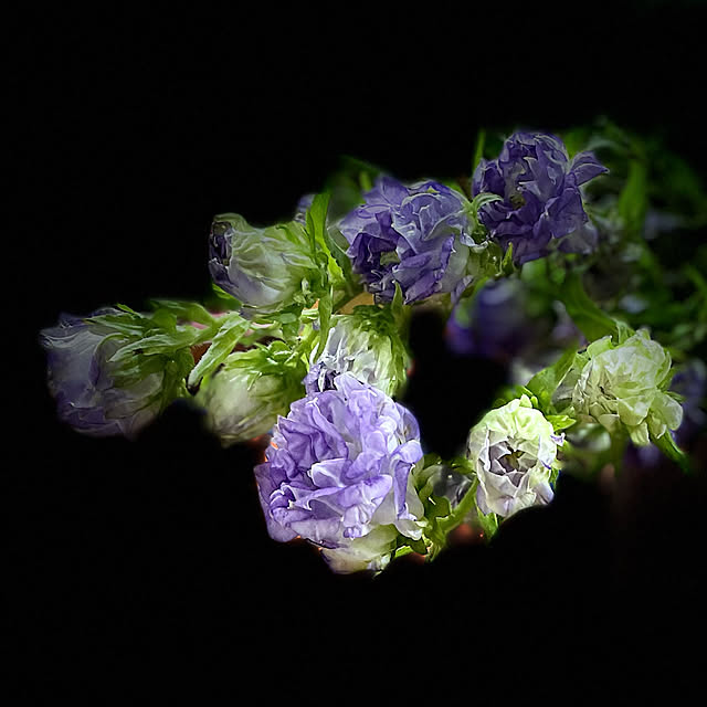 buchiさんの実例写真