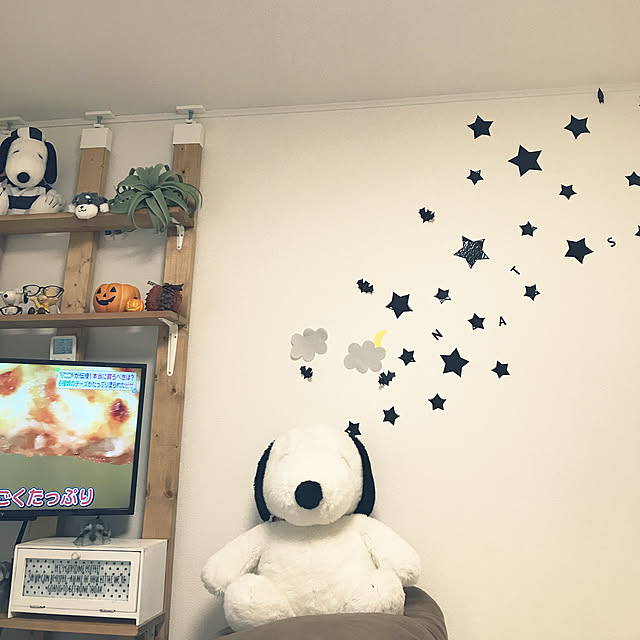 tamaeさんの実例写真