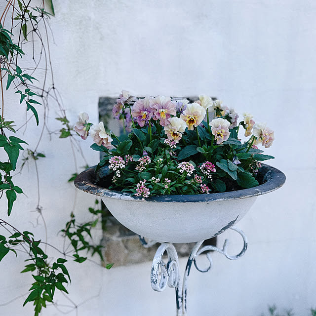 mameshibaさんの実例写真