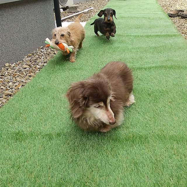 chocococoaさんの実例写真