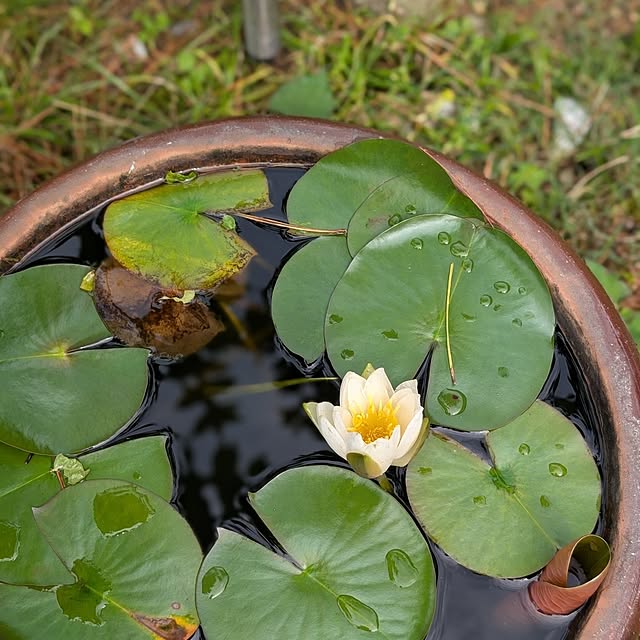 naoさんの部屋