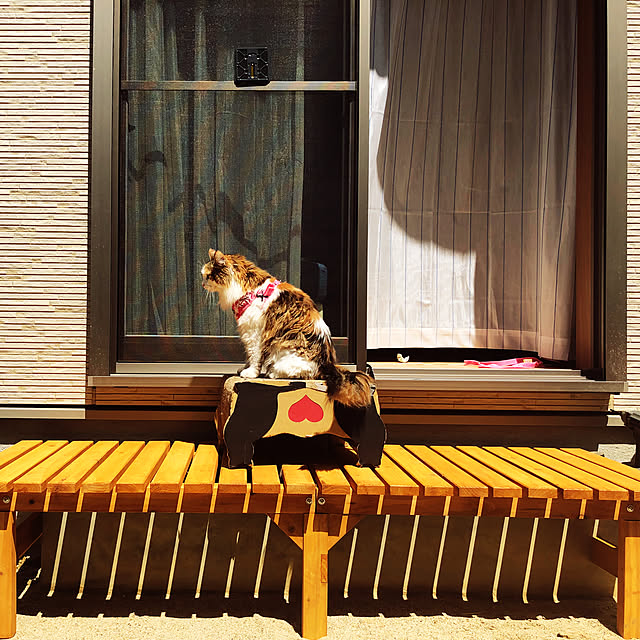 aninoさんの実例写真