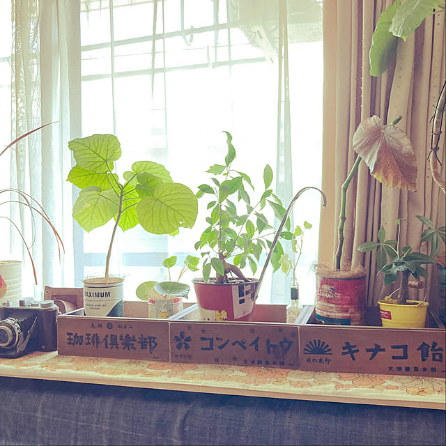 heidiさんの部屋