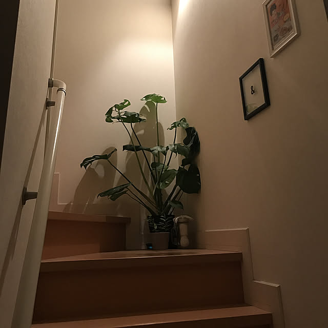 me0034さんの実例写真