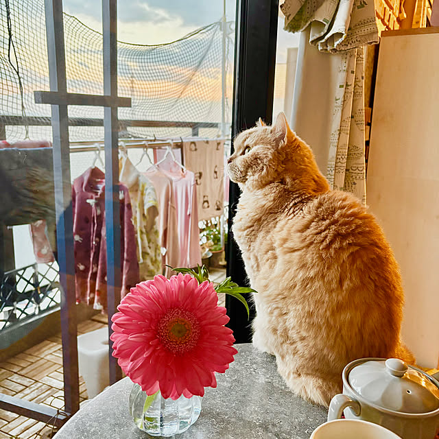 naokoさんの実例写真