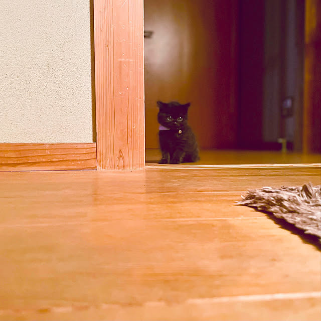 maroさんの実例写真