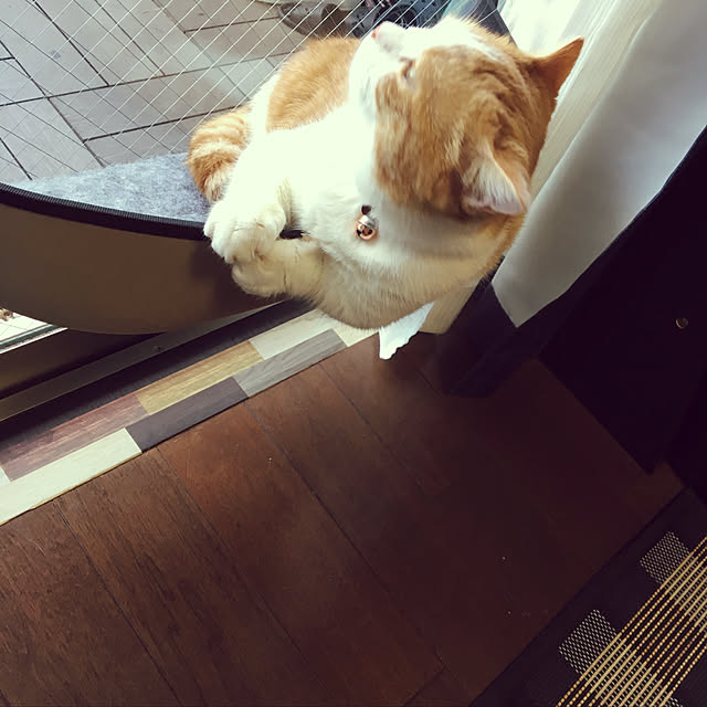 maoさんの実例写真