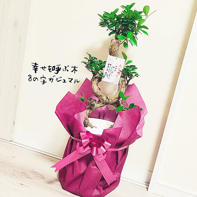 r0siereさんの実例写真