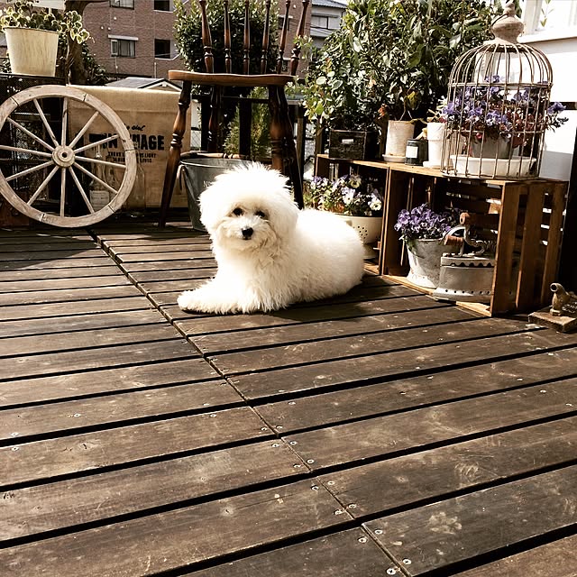 happy_bridgeさんの実例写真