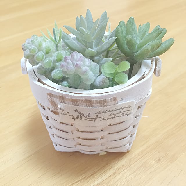 Minoriさんの実例写真