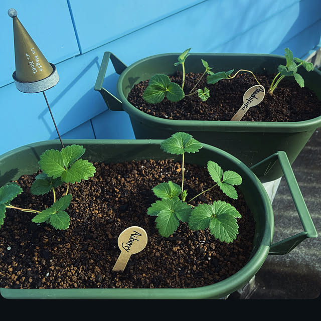 Ohigeさんの部屋