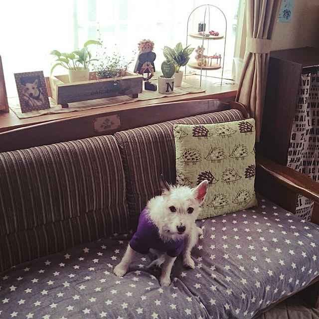 lovesoraさんの実例写真