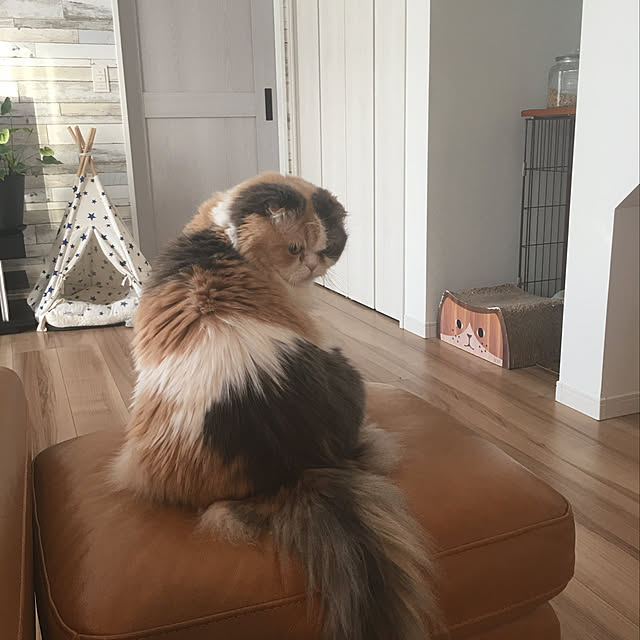 Kaorinさんの実例写真