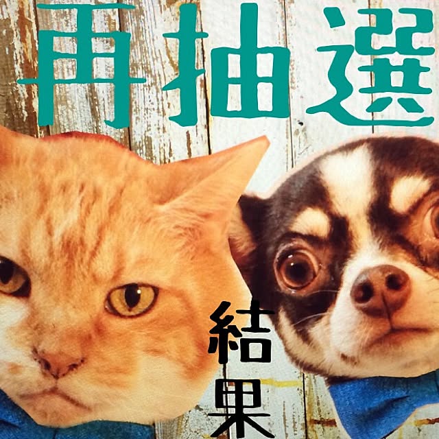 katsuwobushiさんの実例写真
