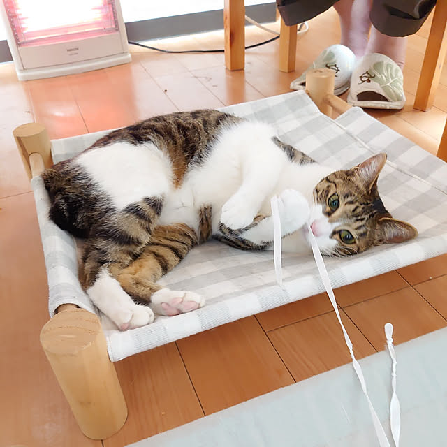 mannaさんの実例写真