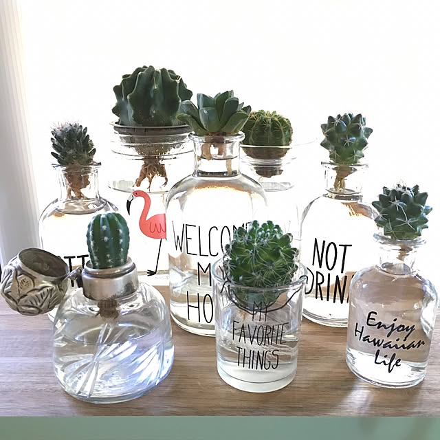 TiffanyTさんの実例写真