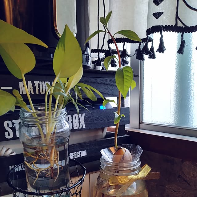 runaさんの部屋